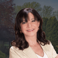 Susan L. Eleff Lawyer