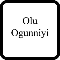 Olu Ogunniyi Lawyer