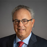 Sanford Alan Meizlish Lawyer